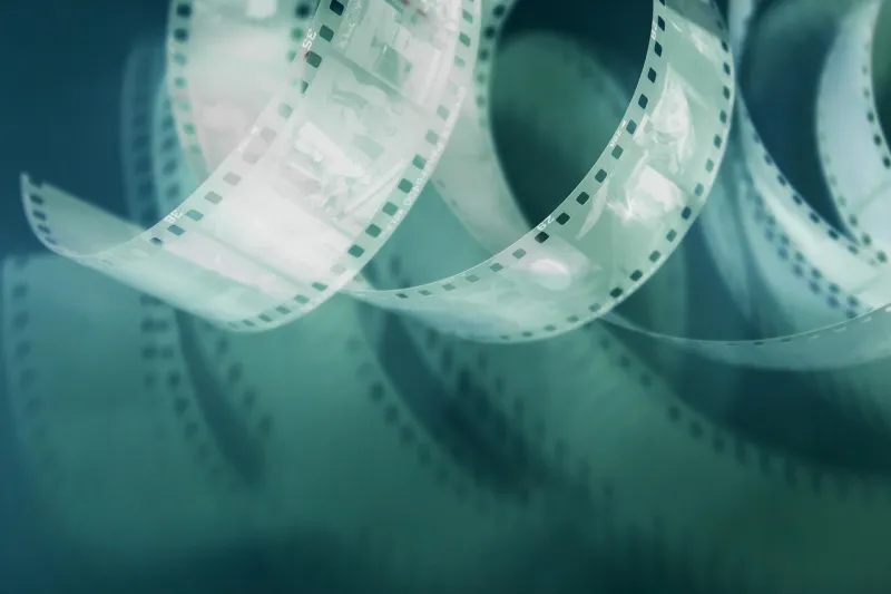 Eat or Be Eaten: How the Writers of Natural Selection Turned Ecology Into Edge-of-Your-Seat Drama
